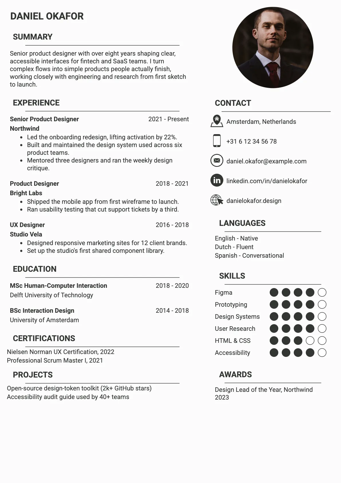 Lyon Premium CV template