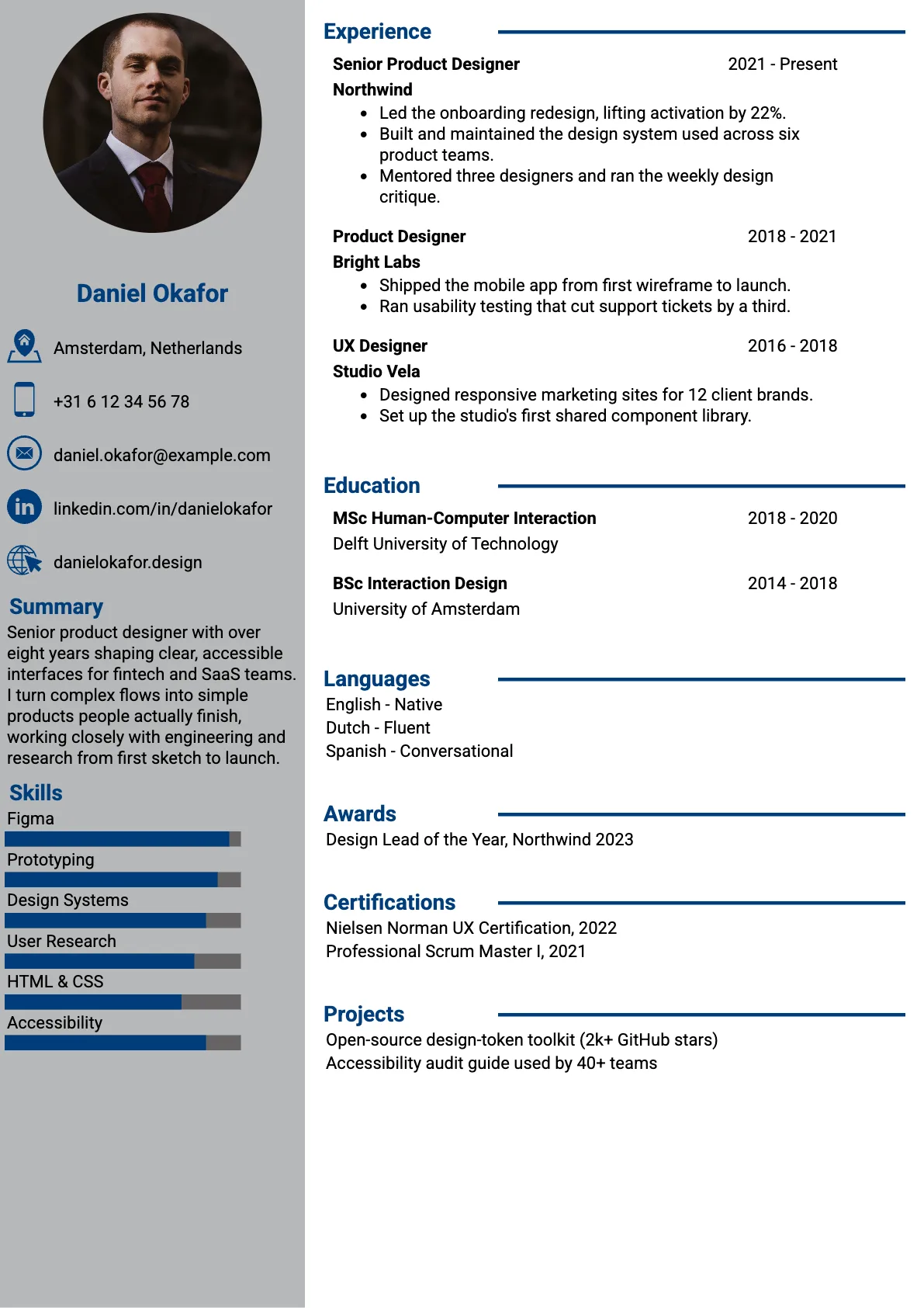Denver Professional CV template